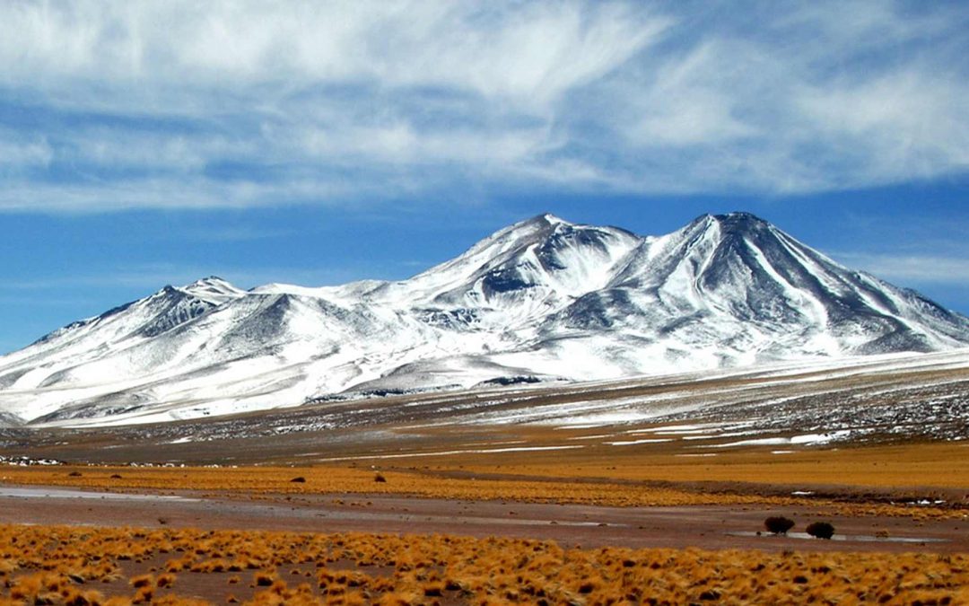 Bus to/from Puno