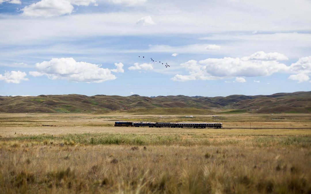 TRAIN Cusco ↔ Puno